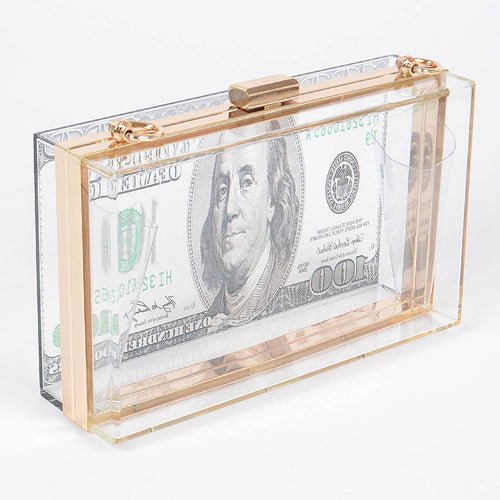 Money Printed Transparent Hard Case Bag