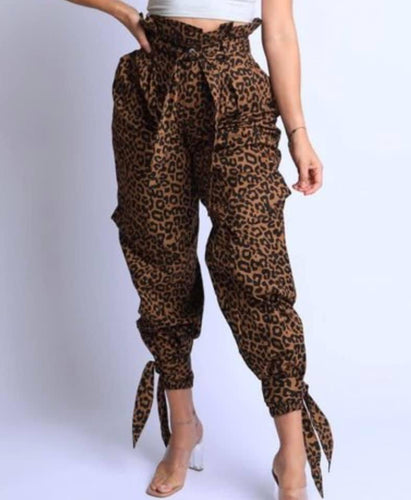 SAFARI  ME