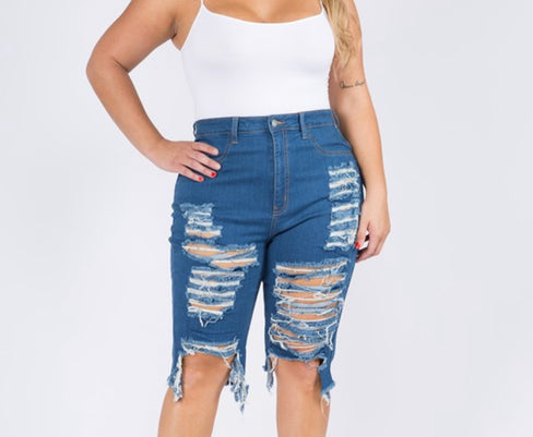 DENIM TAKE 1 (PLUS)