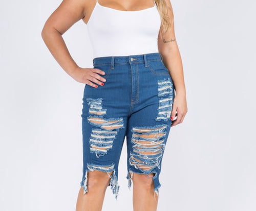 DENIM TAKE 1 (PLUS)