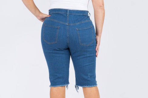 DENIM TAKE 1 (PLUS)